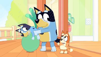 Bluey (S01E32): Bumpy And The Wise Old Wolfhound Summary - Season 1 ...