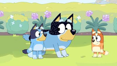 Bluey (S03E47): Cricket Summary - Season 3 Episode 47 Guide