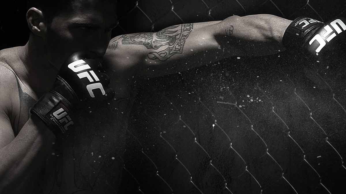 Ultimate Fighter